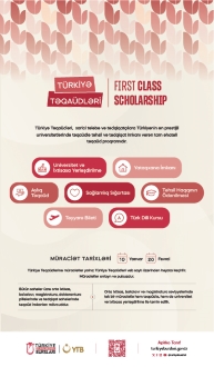 Türkiye Scholarships